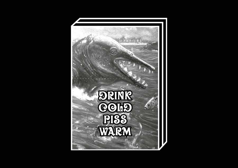 Drink cold piss warm by Anna McCarthy – 100FOR10 art book No. 45, cover
