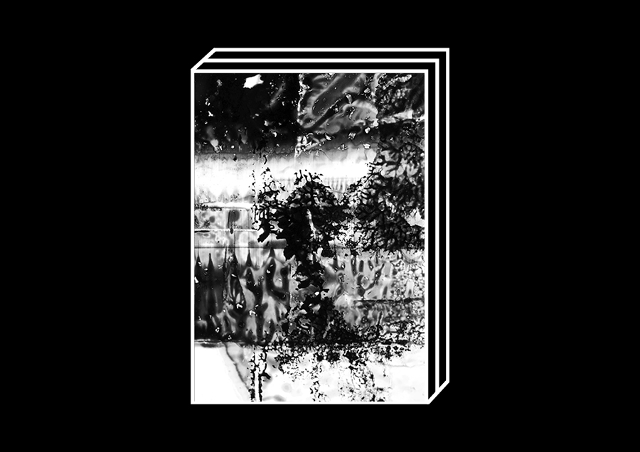 Dreaming in Black & White by Paul Richards – 100FOR10 art book No. 136, cover