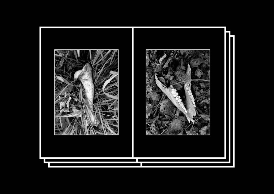 The Hunter by Johannes Erler – 100FOR10 art book No. 35, view 3