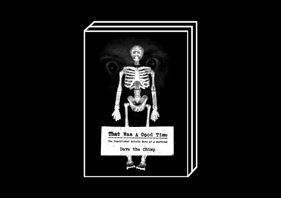 That Was A Good Time by Dave The Chimp – 100FOR10 art book No. 89, cover